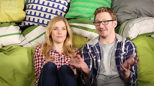 Do Flies Sleep? Where Do Flies Go At Night?