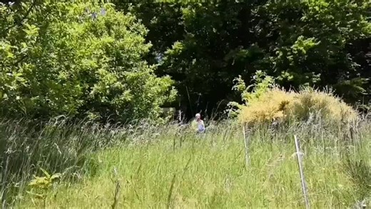 Feedback video of Swiss Vigorun VTLM800 remote control slope mower. Visit https://remote-control-mower.com/get a quote Email:803@ssrbot.com /vigorun803@gmail.com WhatsApp/WeChat: 8613455610280 It’s always rewarding to see our machines performing well in the hands of our customers. The VTLM800’s powerful cutting capability, remote control convenience, and ability to handle challenging terrains continue to earn praise across Europe. Green Remote Control Rubber Track Brush Mower (VTLM800) https://r