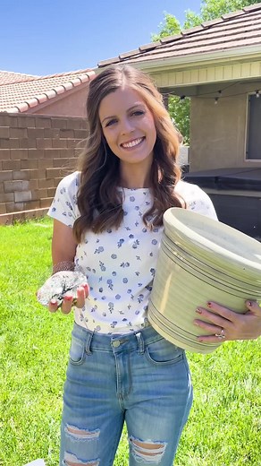 How to Enhance Humidity for Your Indoor Plants with a Cute DIY Trick!