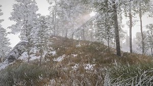 1.8K views · 26 reactions | A peaceful moment in Skyrim. My pc is ready! I'm going to get started on setting up Mod Organizer and all the things!! #skyrim #skyrimmods | Elder Scrolls & Fallout Screenshots | Facebook