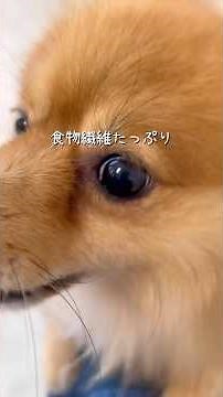 レンジで簡単！さつまいもケーキ
