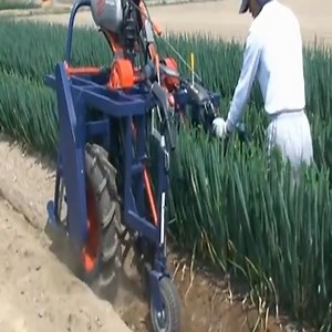 24K views · 183 reactions | Long onion digging machine Join the group: Heavy Equipment  | Magic | Facebook