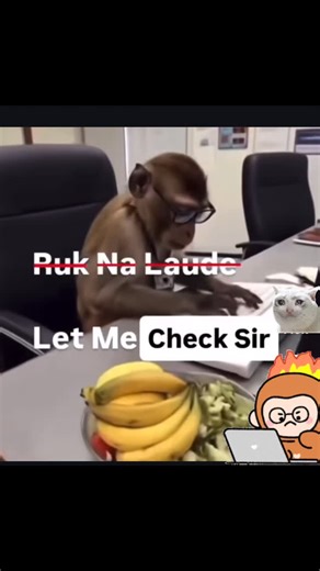 codelomad on Instagram: "#corporatelife #techmemes #funnyreel #developerlife #itlife #officememes #relatable #relatabledev #corporatehumor #managerlife #frontendmemes #itjokes"