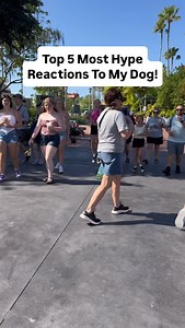 673K views · 21K reactions | There is too many to choose from… Which one is your favorite? #goldendoodle #reactions #petfluencer | Brodie That Dood | Facebook