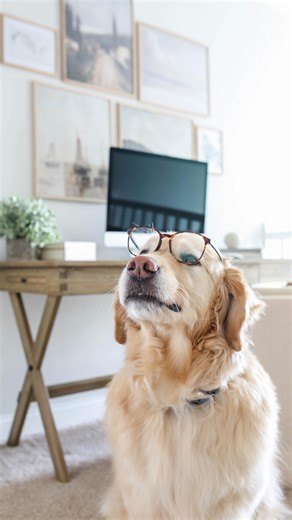 KC Myers on Instagram: "This might be one of the best feelings in the world! 🤣 #password #funnymemesdaily Guessing your own password, relatable, funny memes, humor"