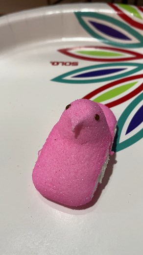 What Happens When You Microwave A Peep? 🤔 | Evan Era