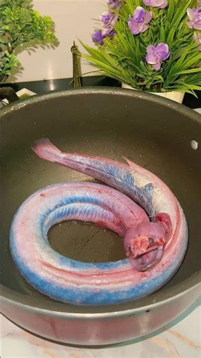 YOU NEVER TRIED THIS Eel Fish Curry | The Daily Curry
