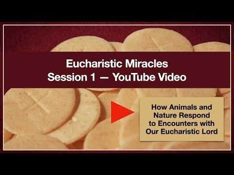 Eucharistic Miracles | Session 1