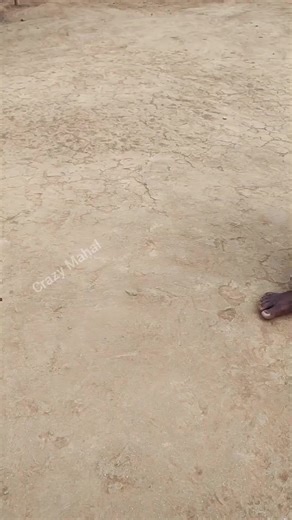 DIY Clay Stove from an Old Oil Container