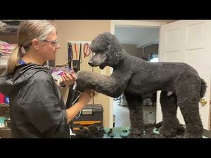 Fast and easy Lamb Trim basics