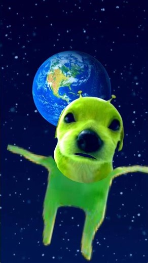 le chien dans l'espace alien 👽