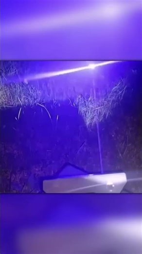 Laser Machine Destroys Mosquitoes Instantly!