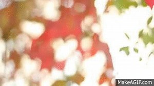 Autumn on Make a GIF