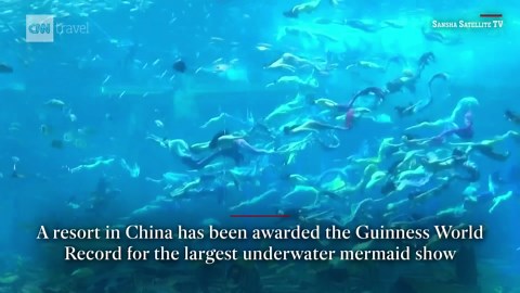 See 100 mermaids in a world record performance