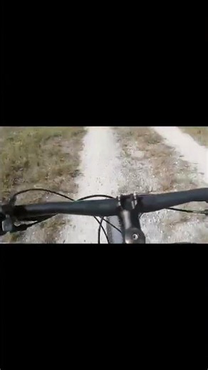 Entering the Everglades #miami #ride #explore #tourism #story