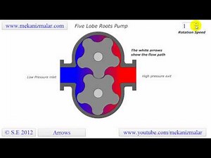 Roots Blower Five Lobe