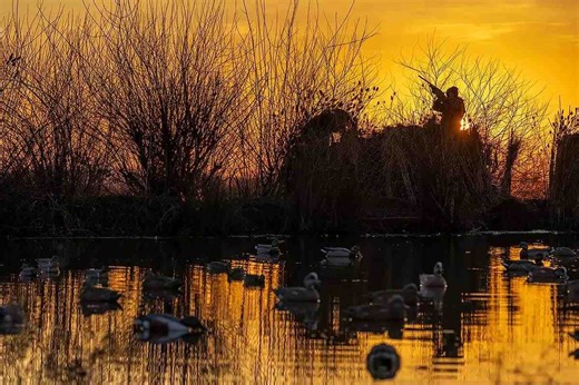 Make the Most of Late-Season Ducks with Decoy Refresh - Game & Fish