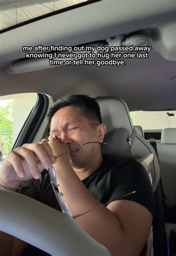 Remembering My Beloved Dog: A Heartfelt Tribute