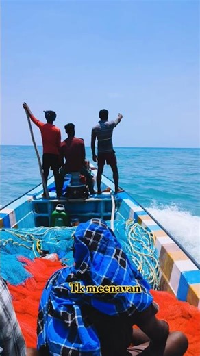 #fisherman's ⚓🐬♨️ #shorts #trending #youtube #viral #vlog #explore #love #nature #views #india
