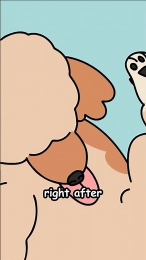 My Puppy Is Insane…