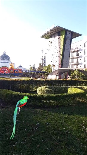 Videos de Omar Cabrera (@omar.cabrera013) con “sonido original - Ruby🇬🇹”