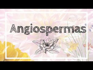Origem e evolução de angiospermas