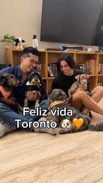 Thank you for being part of Toronto's story!! ❤️🥹