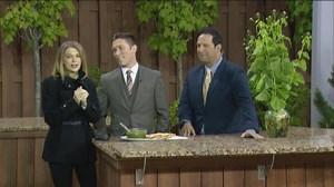 Invasive but delicious: Garlic mustard