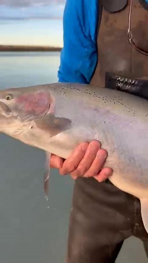 Miguel Angel Garrido on Reels