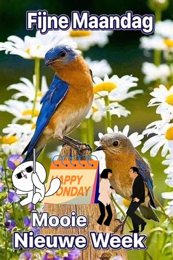 Een fijne maandag allemaal. ❤️ #maandag #mogguh #hallo #goedendag | Johan Kortenoeven
