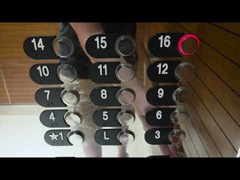 BUSTED: Independent Service On a Custom Otis Elevonic 411 Traction Elevator