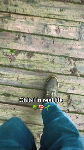 The forest is my therapy 🌱