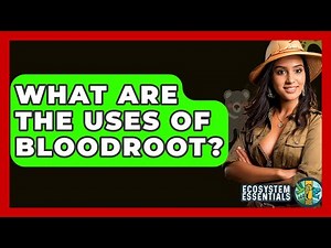 What Are The Uses Of Bloodroot? - Ecosystem Essentials