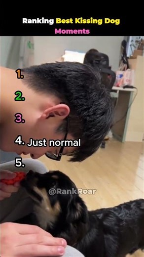 Ranking Best Kissing Dog Moments #shorts #kiss #dog #ranking