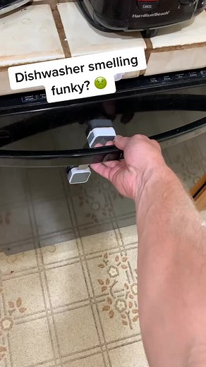 How to Get Rid of Funky Smells from Your Dishwasher
