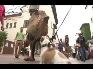 Dog vs. Dinosaur - SANTA BARBARA ZOO