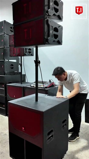 Pro-110 Single 10” Line Array System 🔊