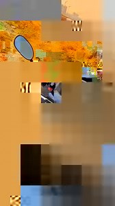 6.8K views · 601 reactions | So after destroying Samsung and iPhone let's start shoot again 藍藍藍藍藍 #irfanturiphotography #Amazing #phonography #photographer #wildlife #wildlifephotography #birdsphotography | Irfan Turi Photography | Facebook