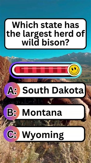 Animal Quiz Guess the answer #quiz #generalknowledge #animals