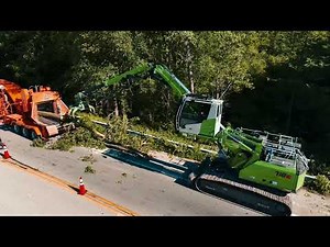 Homer Tree Service performing roadside tree removals ￼