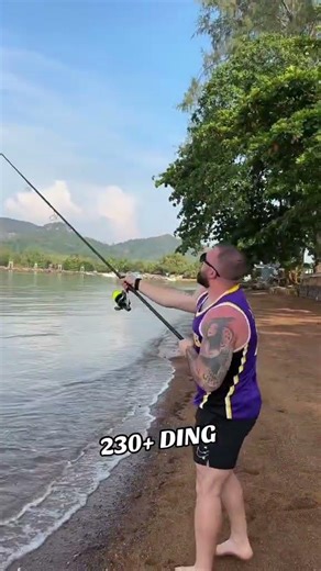230+ DING 🛎️ DDAWNG Fishing