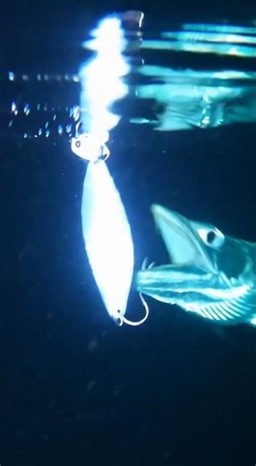 NIGHT South Korea Fishing Larghead Hairtail fish pearl white glow spoon lights up dark ocean surface