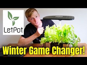 This Will Allow Me To Grow Veggies ALL Winter! LetPot Hydroponics Review