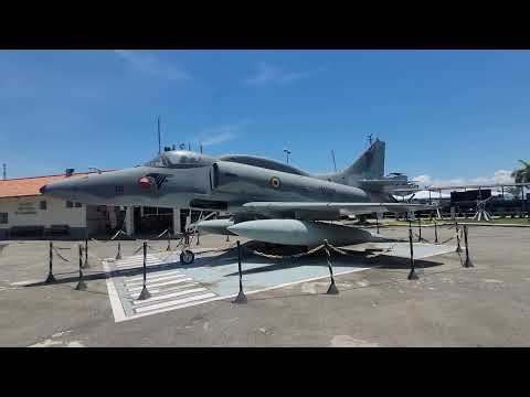 Walking Tour Downtown Rio de Janeiro