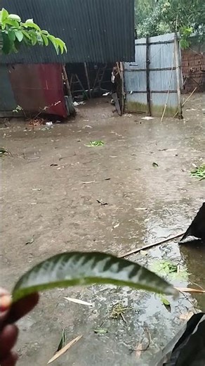 The Ultimate Rain Sounds Compilation for Deep Sleep