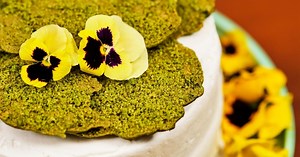 J Schwanke’s Life In Bloom:The Gift of the Forest Season 2 Episode 04/14/2020