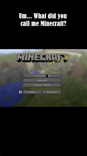Um... what did you call me Minecraft?