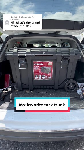 Best Tack Trunk for Horse Shows | Lightweight & Spacious Options