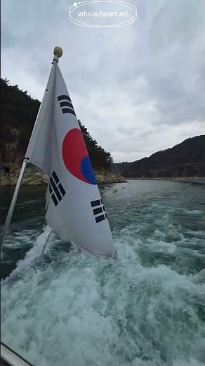제천 여행 필수코스! 40년 무사고! 스트레스 확 풀리는 시원한 청풍호 크루즈#제천여행 #제천놀거리 #청풍호 #청풍호크루즈 #유람선 #충주호 #청풍랜드