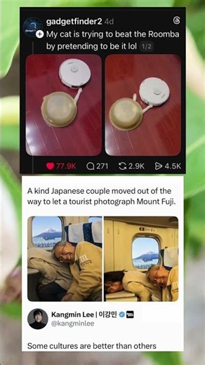 Tourist Gets the Ultimate Mount Fuji Photo Thanks to Sweet Strangers 📸❤️